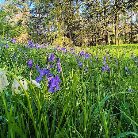 Tranquil Getaway Near Brecon Beacons Apartment Llandovery Luaran gambar