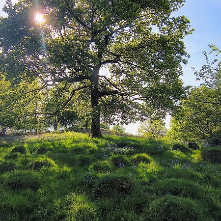 Tranquil Getaway Near Brecon Beacons Apartment Llandovery Luaran gambar