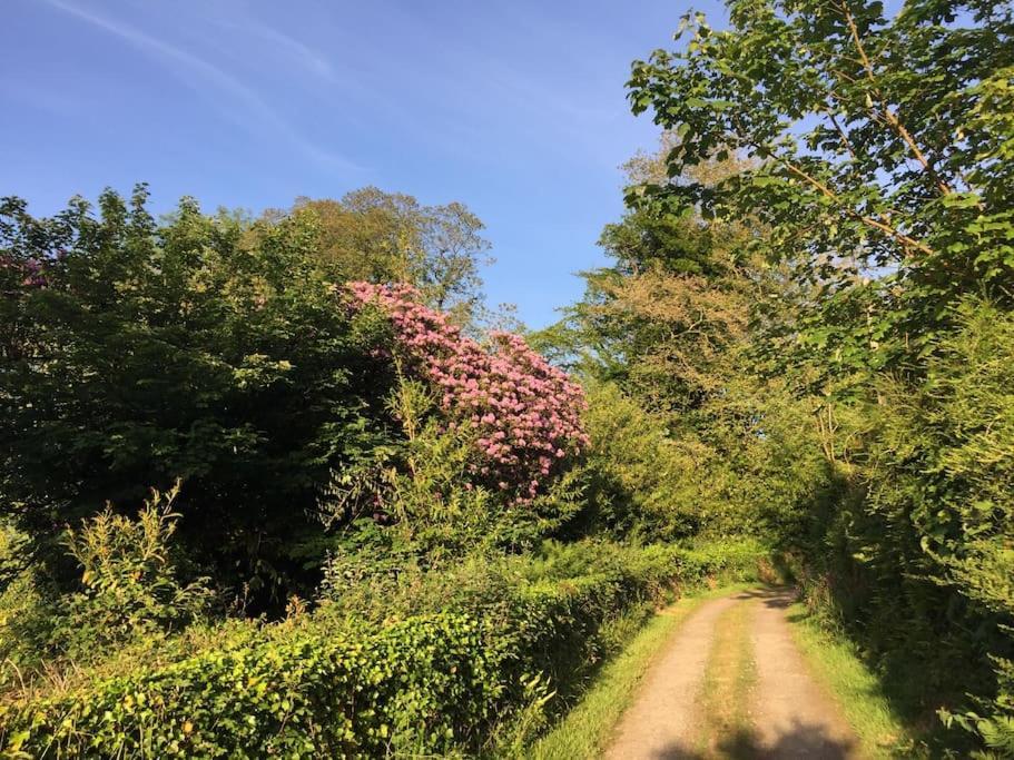 Tranquil Getaway Near Brecon Beacons Apartment Llandovery Luaran gambar